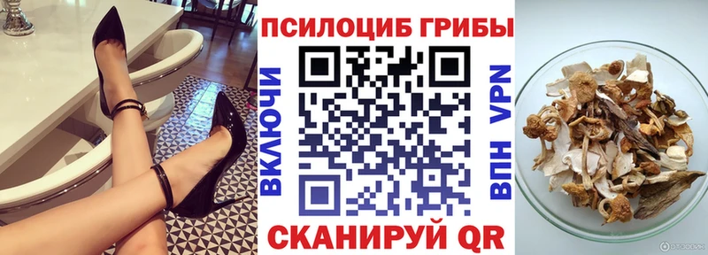 Псилоцибиновые грибы Psilocybe  omg как войти  Ростов-на-Дону 