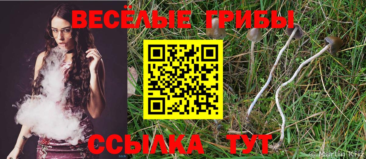 Ростов-на-Дону  Галлюциногенные грибы ЛСД  Вход с VPN 