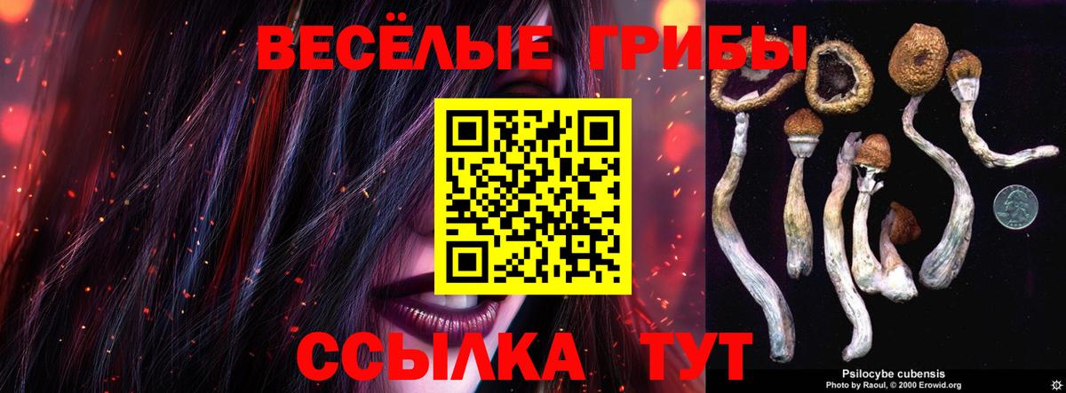 МЕТАМФЕТАМИН  МАРИХУАНА  Вход с VPN  A PVP СК   МЕФ  Мефедрон кристаллы  Ростов-на-Дону  ГАШИШ  КОКАИН 